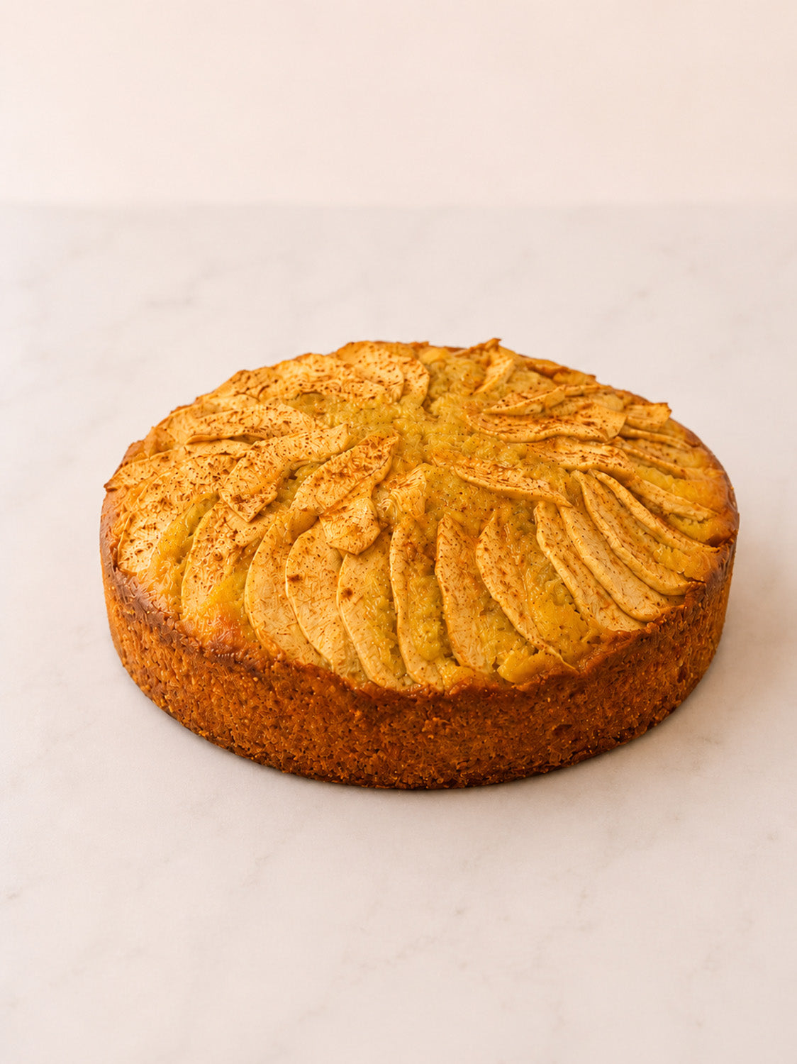 Apple Touch Cinnamon Cake